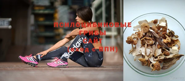 крисы Алзамай